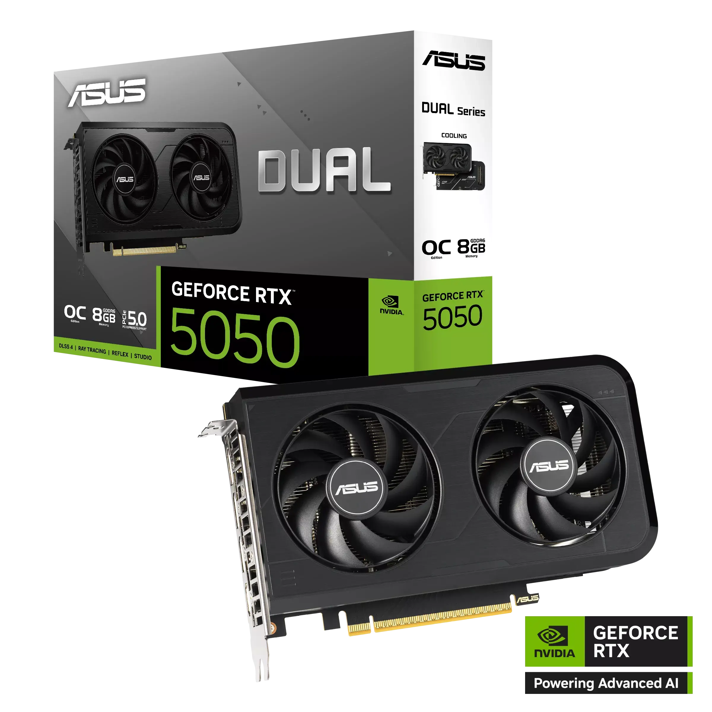ASUS Dual GeForce RTX™ 5050 8GB GDDR6 OC Edition